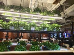 大堂-猫爪爪原切自助烤肉(观音桥阳光世纪店)