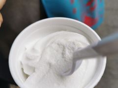 椰子雪糕-洪馨椰子