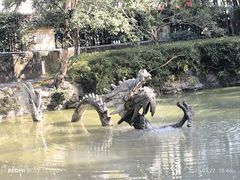 -汇龙潭
