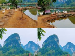 -靖西鹅泉风景区