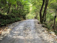 -本溪汤沟绿石谷森林公园