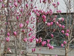 -内蒙古工业大学(新城校区)