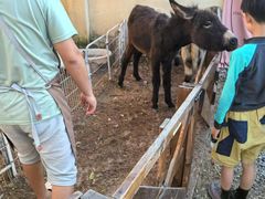 -HERRE·FARM 赫尔露营农场·团建聚会包场