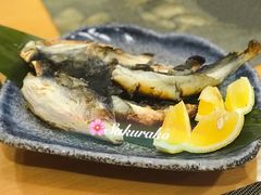 -天正河鲀·河豚亭(大连店)