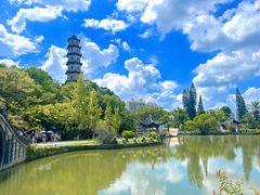 -江心屿景区