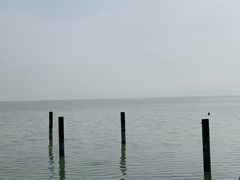 -梦缘水乡·湖景餐厅