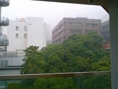 -香港大学