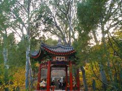 -香山公园