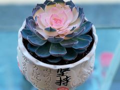 -大理无舍度假酒店