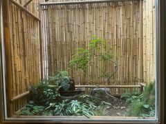 -懒人盐府人家·自贡大麻鱼(安贞店)