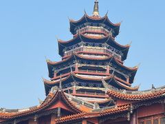 -铁山坪森林公园