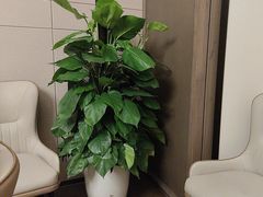 -同庆楼(天鹅湖万达店)