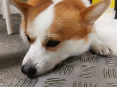-小梁哥云吞面(黄贝岭店)