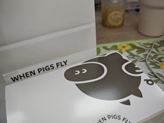 -WHEN PIGS FLY当猪飞