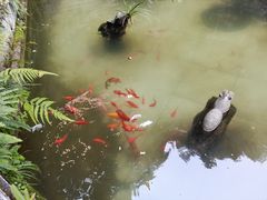 -安溪清水岩
