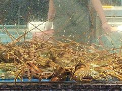 -聚福宝合苑食府(南头镇店)