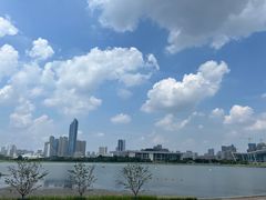 -月湖风景区