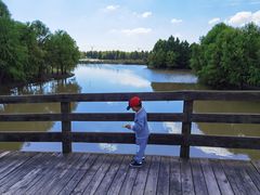 -上海海湾国家森林公园