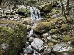 -牛背梁国家森林公园