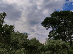 -古塔公园