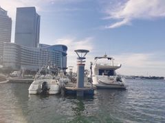 -渡海小渔村.老辈日照菜