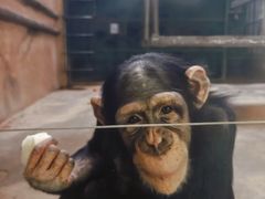 -石家庄市动物园