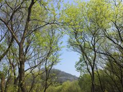 -西湖风景区-江洋畈生态公园