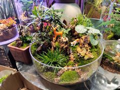 -双季花艺园艺市场(浦东店)