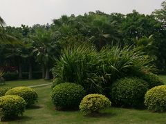 -宝安西湾红树林湿地公园