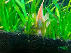 -上海海洋水族馆