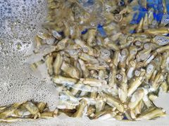 -睿柏云酒店-餐厅