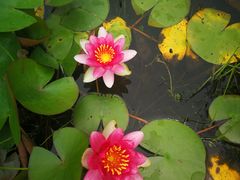 -白塘生态植物园