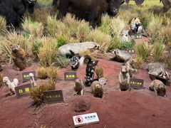 -陕西自然博物馆