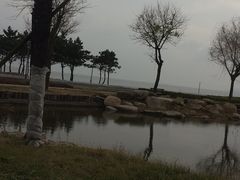 户外温泉-青岛海泉湾度假区温泉