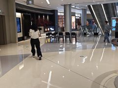 -首开·龙湖成都西宸天街