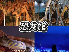 -中国西峡恐龙遗迹园