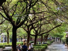 -缘生态云南菜·野生菌庭院餐厅(华侨城店)