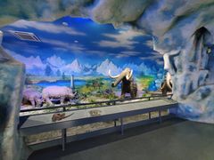 -中国第四纪冰川遗迹陈列馆