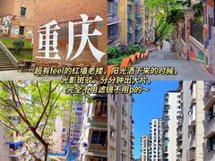 -杨记隆府(重庆总店)