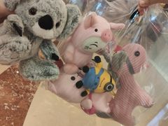 -炉鱼(爱琴海购物公园店)