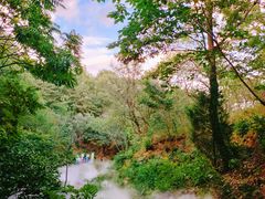 -北京西山国家森林公园