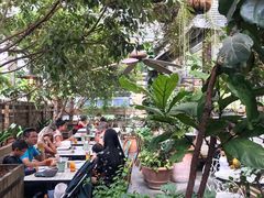 -The Grounds of Alexandria