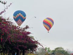 -中国科学院西双版纳热带植物园