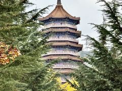 -金城公园