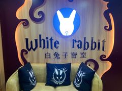 -白兔子密室(长寿路店)