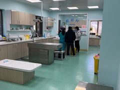 -北京观赏动物医院·24小时大型综合·猫专科·异宠专科