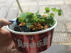 黑色经典臭豆腐-黑色经典臭豆腐·湖南特产(坡子街店)