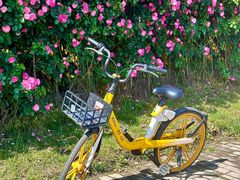 -悦见花开·花园里的火锅·露营·下午茶