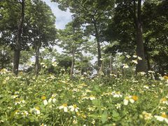 -琅岐红光湖公园