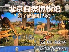 -国家自然博物馆